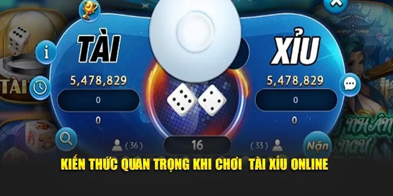 Kiến thức quan trọng khi chơi tài xỉu online